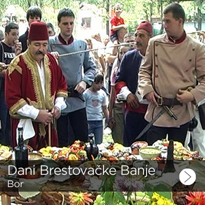 dani brestovacke banje 1